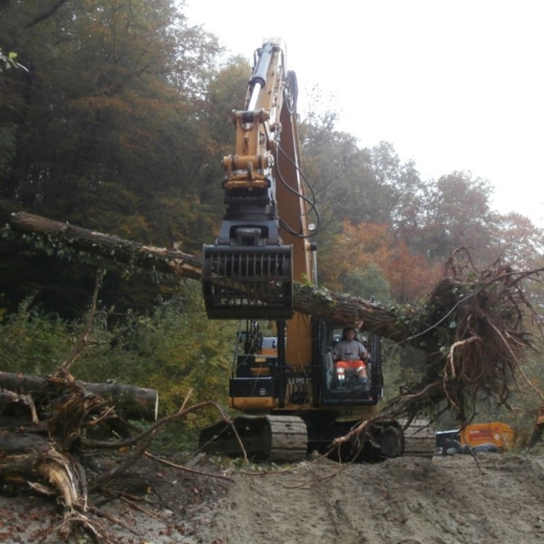 Testeinbau Wurzelstock