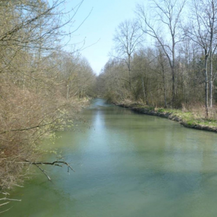 Hochwasserschutz und Revitalisierung 
Alte Aare