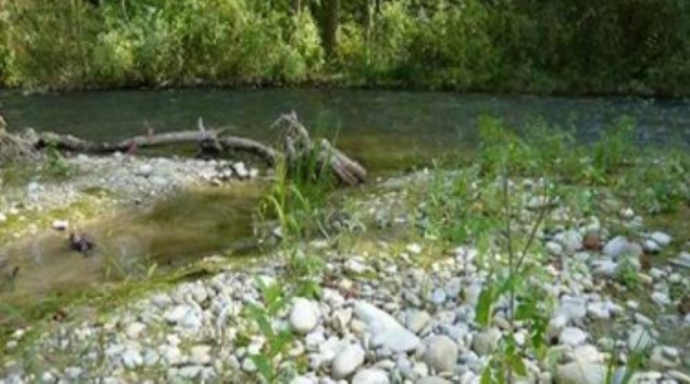 Hochwasserschutz und Revitalisierung 
Alte Aare - Bild 2