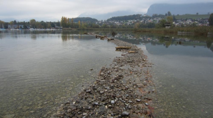 Schilfschutzmassnahmen Thunersee, Naturschutzgebiet Gwattlischenmoos und Weissenau - Bild 3