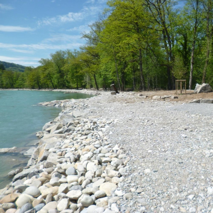 Hochwasserschutz und Auenrevitalisierung
Aare / Gürbemündung