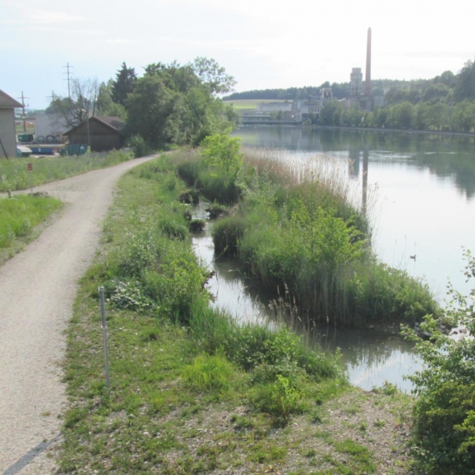 Neugestaltung Uferbereiche Brücke Willihof, Luterbach SO