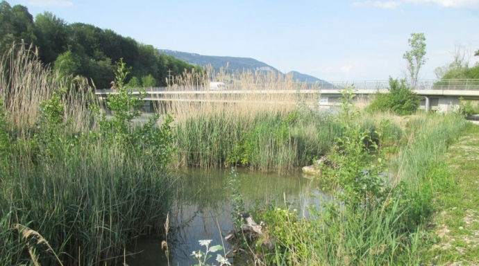 Neugestaltung Uferbereiche Brücke Willihof, Luterbach SO - Bild 3