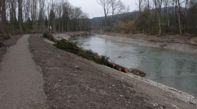 Hochwasserschutz und Revitalisierung
Aare, Olten - Aarau - Bild 3