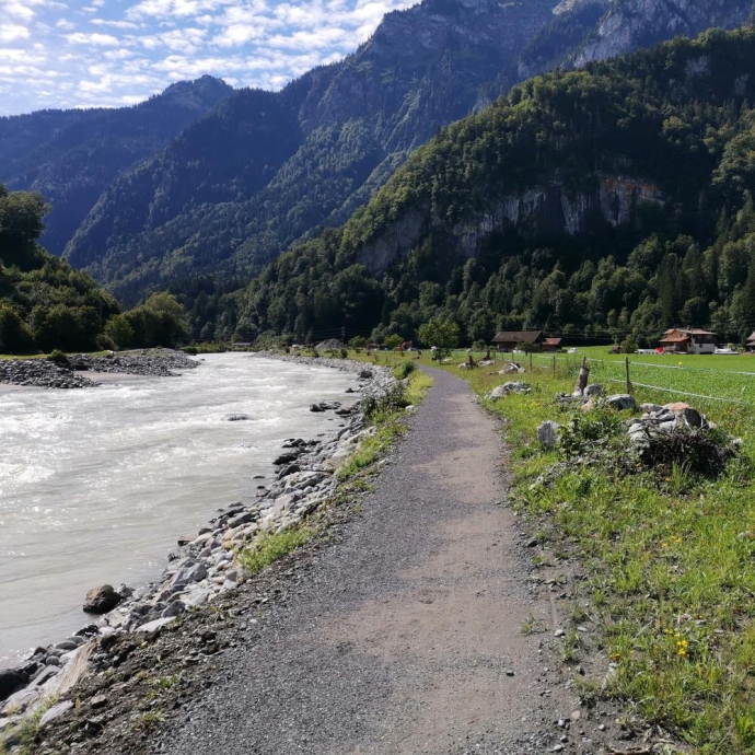 Hochwasserschutz Bödeli, Teilprojekt 1 Dangelstutz - Einmündung Saxetbach