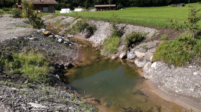 Hochwasserschutz Bödeli, Teilprojekt 1 Dangelstutz - Einmündung Saxetbach - Bild 3