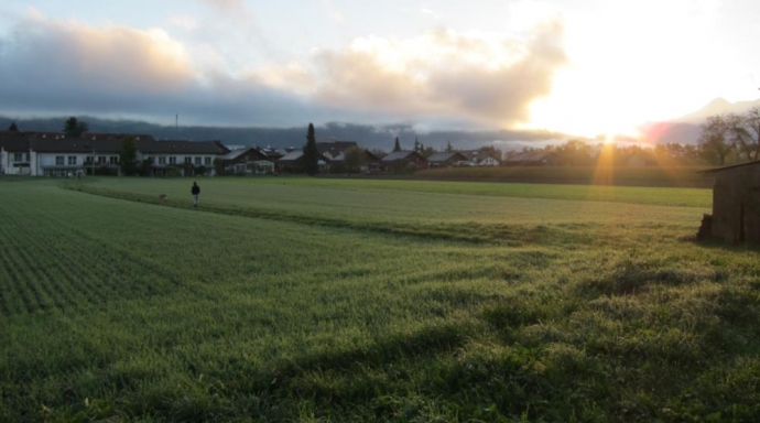 Hochwasserschutz Thun West - Bild 2