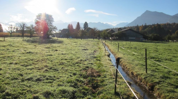 Hochwasserschutz Thun West - Bild 3