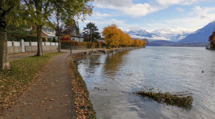 Aufwertung für Äschen Thun - Bild 3