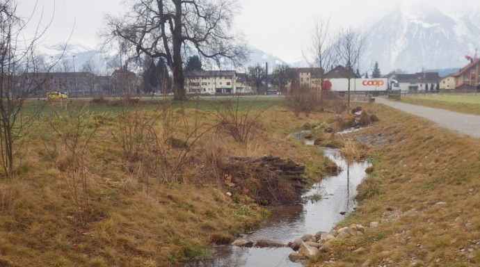 Grundlagenprojekt Gewässer Ortsplanung Thun  - Bild 2