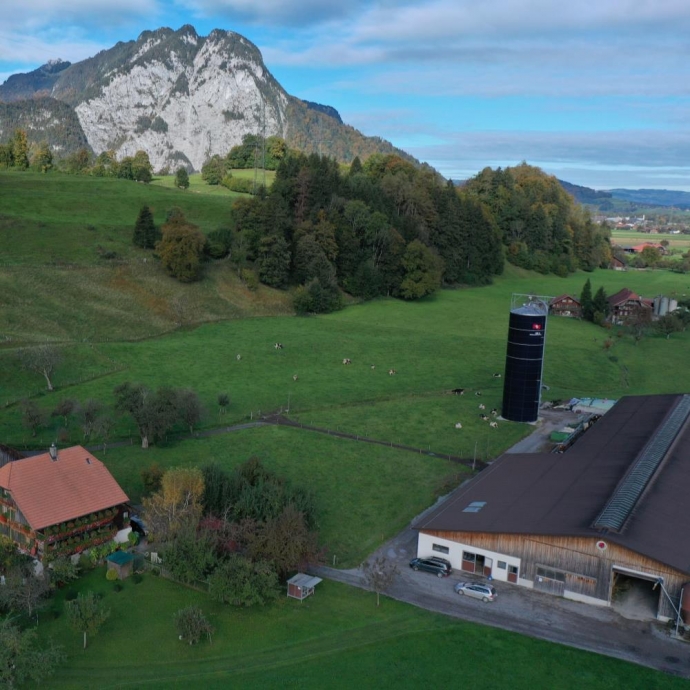 Verlegung und Revitalisierung Aubächli Obermatten, Wimmis