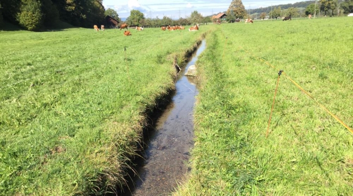 Verlegung und Revitalisierung Aubächli Obermatten, Wimmis - Bild 2