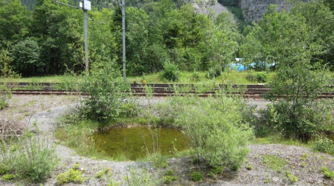 Erneuerung Fahrbahn Lötschberg Scheiteltunnel, Umweltbaubegleitung - Bild 3