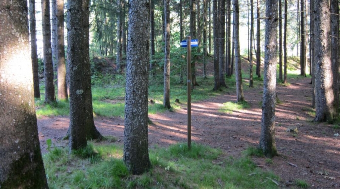 Wasserbauplan Kander, Teilbereich Chalberglungge Kien bis Schwandi Ey - Bild 2